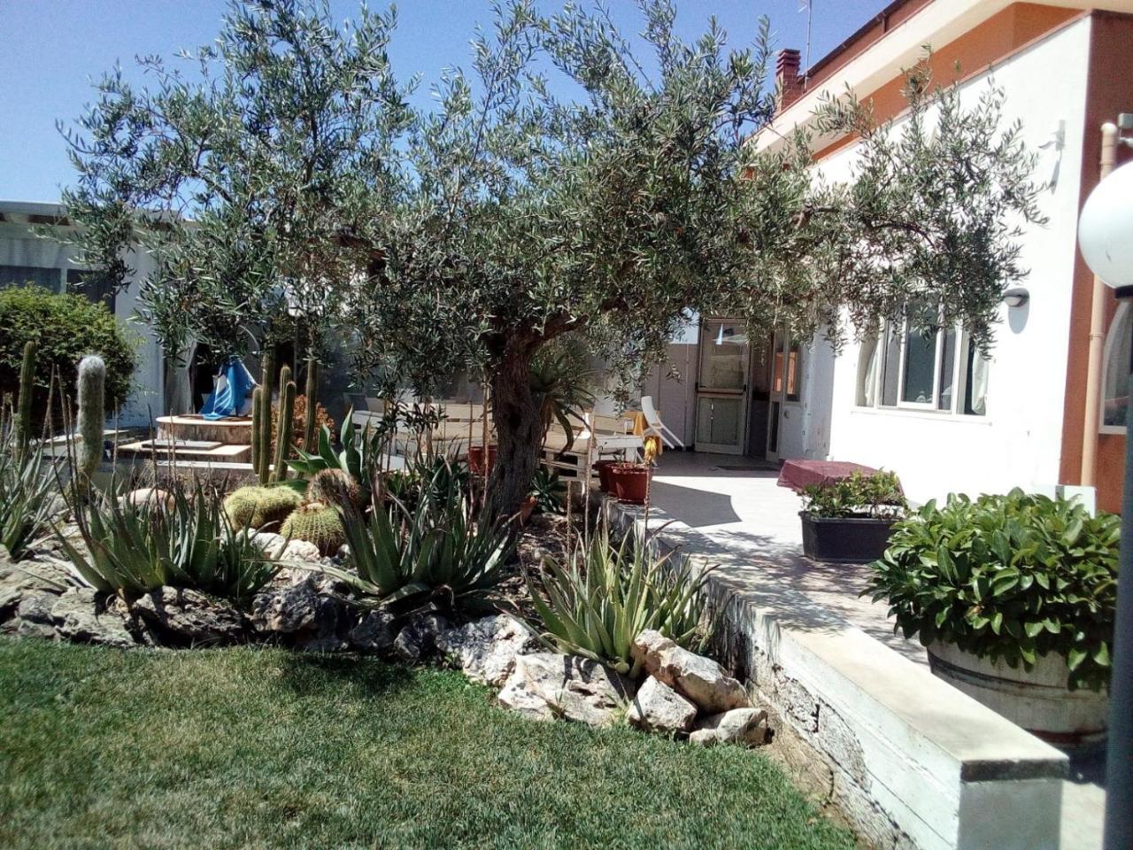 Villa Plasi Менфі Екстер'єр фото